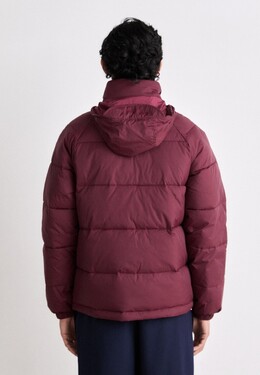 Tommy Hilfiger: Зимний пуховик  Tommy Jeans