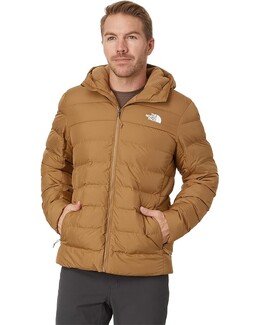 The North Face: Коричневая толстовка  Aconcagua