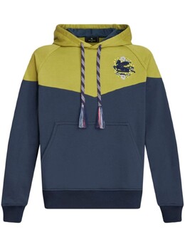 Etro: Толстовка  Pegaso с принтом