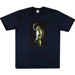 Supreme: Тёмная футболка  Raphael