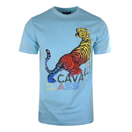 cavalli CLASS: Яркая футболка 