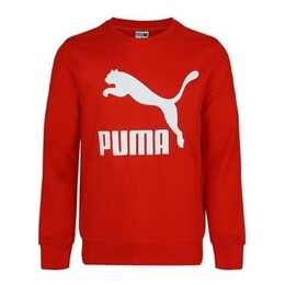 PUMA: Флисовый свитер  Essentials
