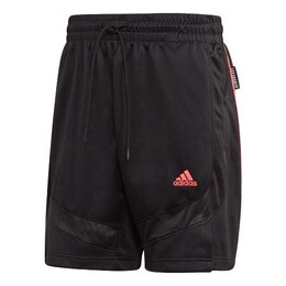 Adidas: Короткие шорты  Originals