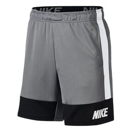 Nike: Спортивные шорты  Dri FIT