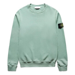 Stone Island: Зелёная толстовка 