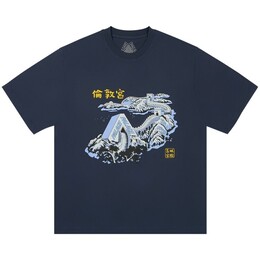 Palace: Тёмная футболка 