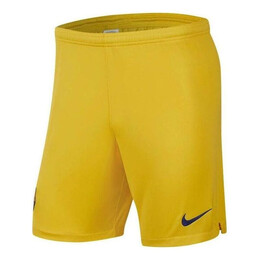 Nike: Жёлтые шорты 