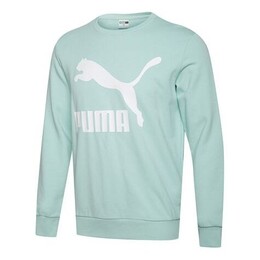 PUMA: Зелёная толстовка  Classics