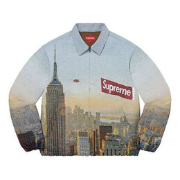 Supreme: Многоцветная куртка  Aerial