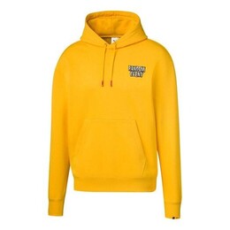 PUMA: Спортивная толстовка 