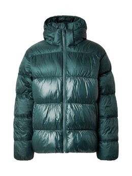 Adidas Originals: Зимний пуховик 