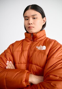 The North Face: Зимний пуховик 