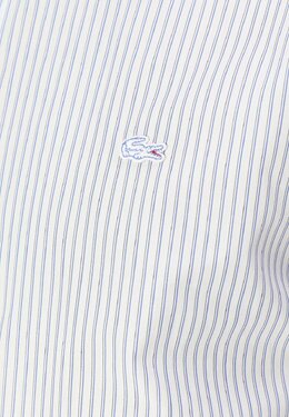 Lacoste: Белая рубашка 