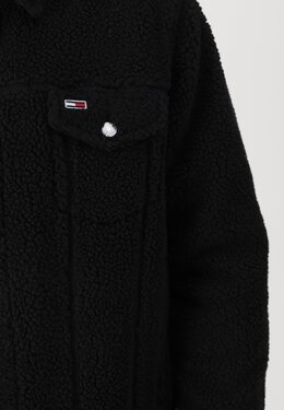 Tommy Jeans: Флисовая куртка 