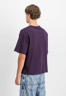 Alpha Industries: Футболка с принтом 