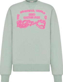 Dior: Зелёная толстовка 