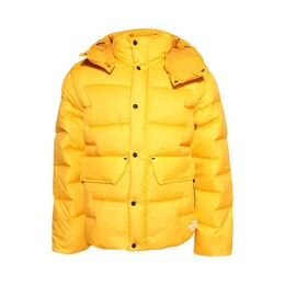 The North Face: Осенняя куртка 