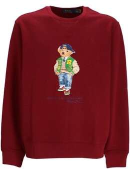 Polo Ralph Lauren: Толстовка с принтом 
