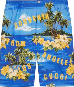 Gucci: Голубые шорты 