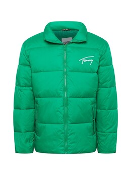 Tommy Hilfiger: Зимняя куртка  Tommy Jeans