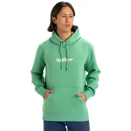 Quiksilver: Зелёная толстовка 
