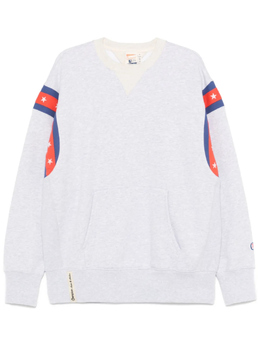 Champion: Толстовка в полоску 