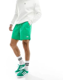 The North Face: Шорты  Class V