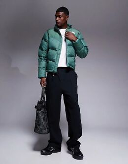 The North Face: Зелёный пуховик  Saikuru