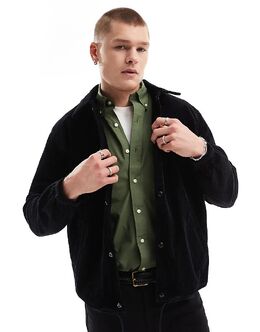 Polo Ralph Lauren: Бархатная куртка 