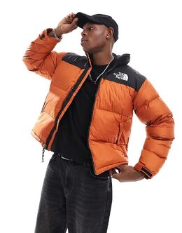 The North Face: Коричневый пуховик  Nuptse