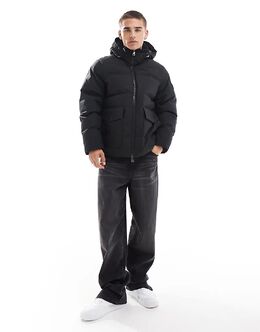 Tommy Hilfiger: Чёрная куртка  Rockie