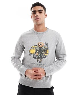 Polo Ralph Lauren: Толстовка с принтом 