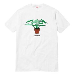 Supreme: Голубая футболка 
