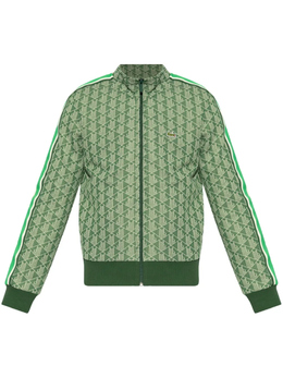 Lacoste: Зелёная толстовка 