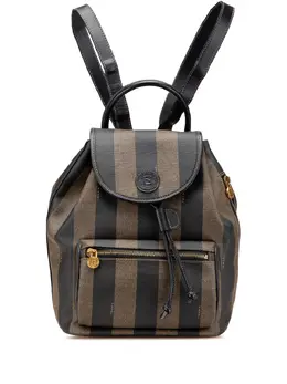 Fendi Pre-Owned: Коричневый рюкзак 
