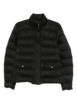 Moncler: Стёганые куртка 
