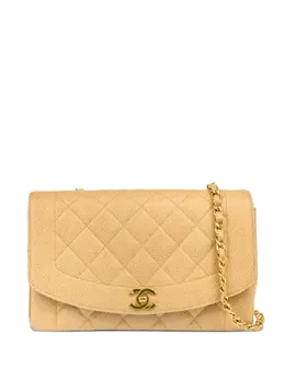 CHANEL Pre-Owned: Бежевая сумка 