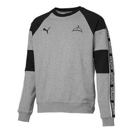 PUMA: Серая толстовка 