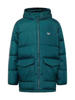 Levi's: Зимний пуховик  Telegraph