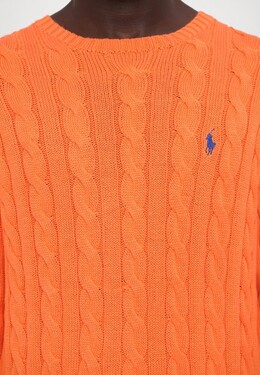 Polo Ralph Lauren: Свитер с длинным рукавом 