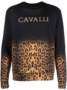 Roberto Cavalli: Толстовка с леопардовым принтом 