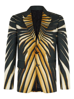 Roberto Cavalli: Пиджаки в полоску 