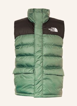 The North Face: Стёганый жилет 