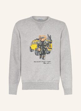 Polo Ralph Lauren: Многоцветная толстовка 
