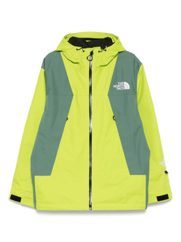 The North Face: Зелёная куртка  NSE