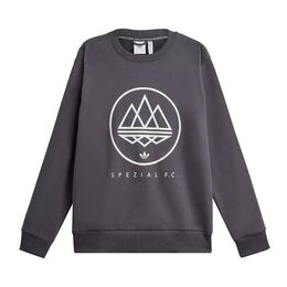 Adidas: Чёрная толстовка  Spezial