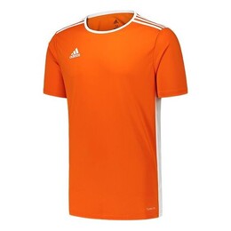 Adidas: Спортивная футболка  Training