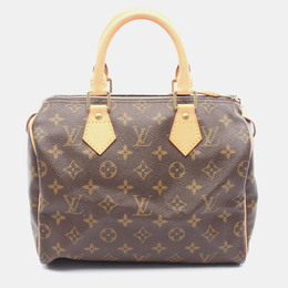 Louis Vuitton: Коричневая сумка  Speedy 25