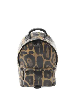 Louis Vuitton Pre-Owned: Коричневый рюкзак 
