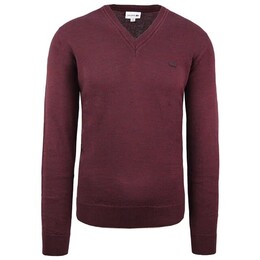 Lacoste: Свитер из шерсти 